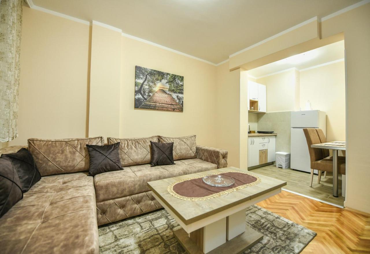 Apartman Centar 2 Podgoriţa Exterior foto